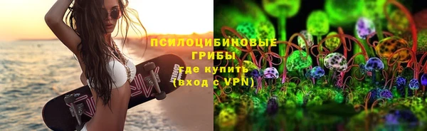соль ск Надым