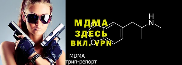 молекула духа Ельня