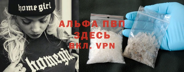 соль ск Надым