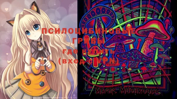 МДПВ Навашино