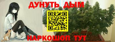 гидра Лесосибирск